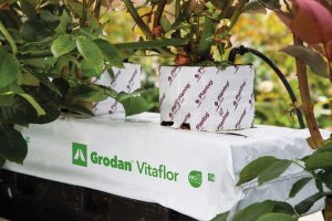 Grodan Vitaflor