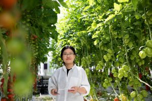 Student examines tomatoes at World Horti Center