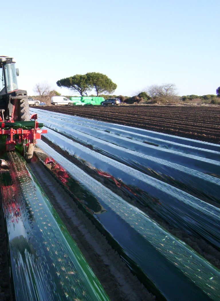 Multiperforated mulch